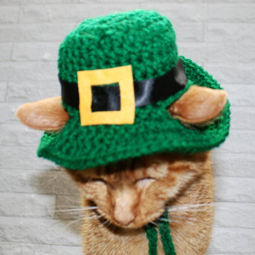 HAND CRAFTED Crochet Hat St. Patrick's Day Derby Cat Irish Costume Photo Prop - Picture 4 of 14